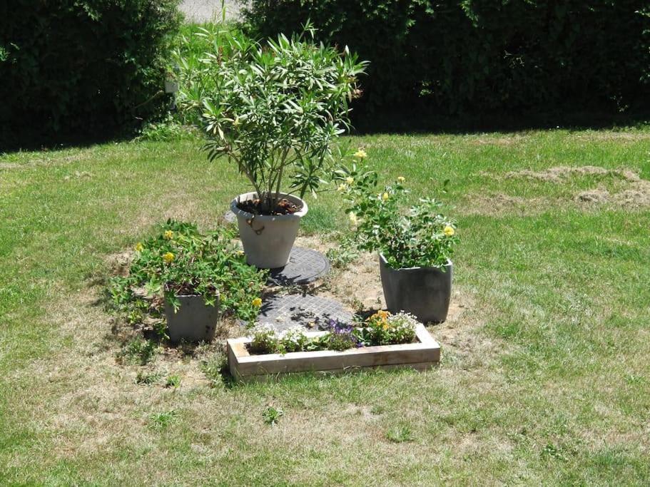 Meuble 2/4 Personnes Villa Noaillac Exteriör bild